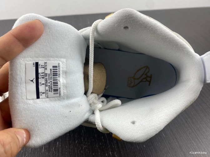 12 Retro Jordan 873864-102 White OVO 1204